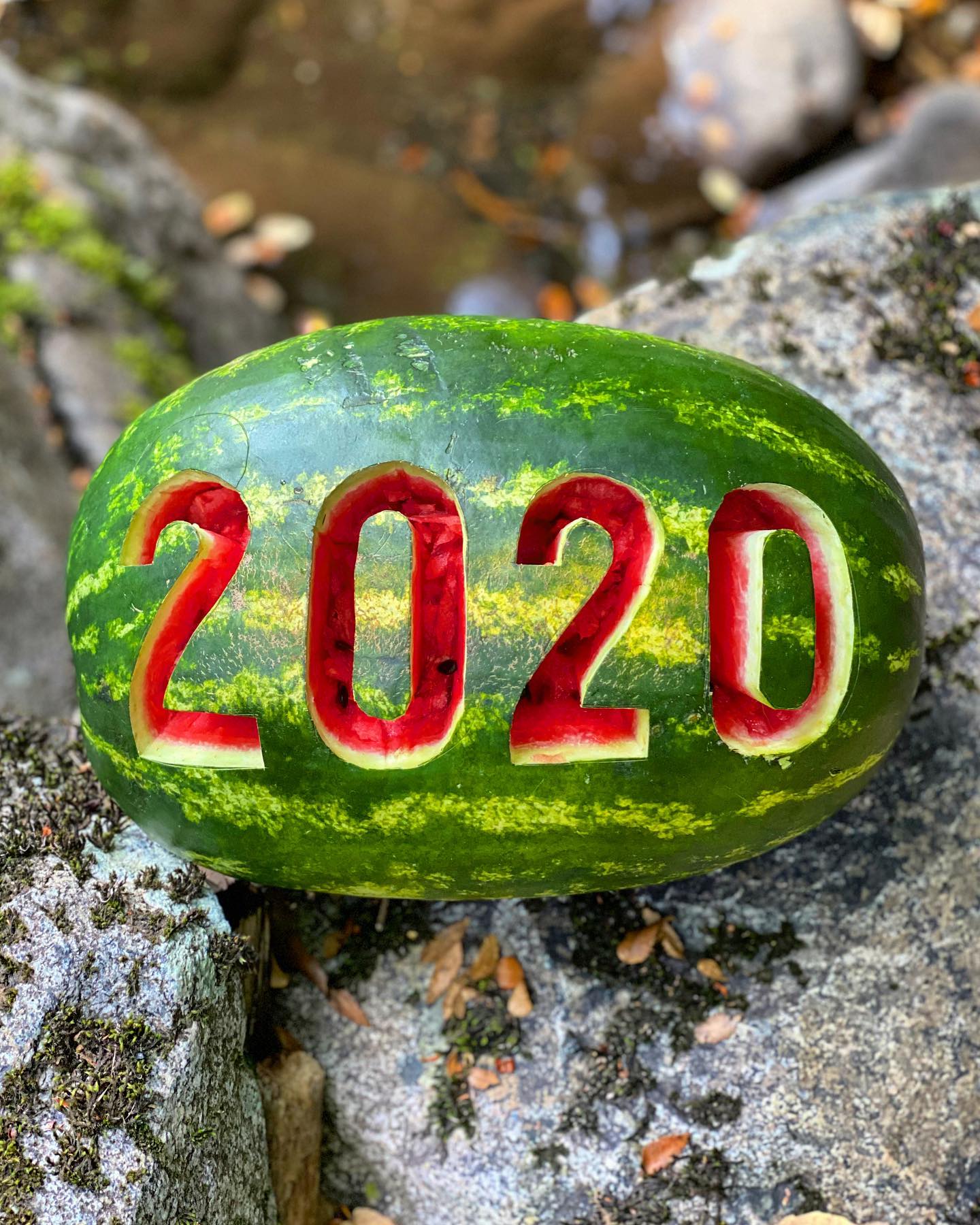 Hola 2020
