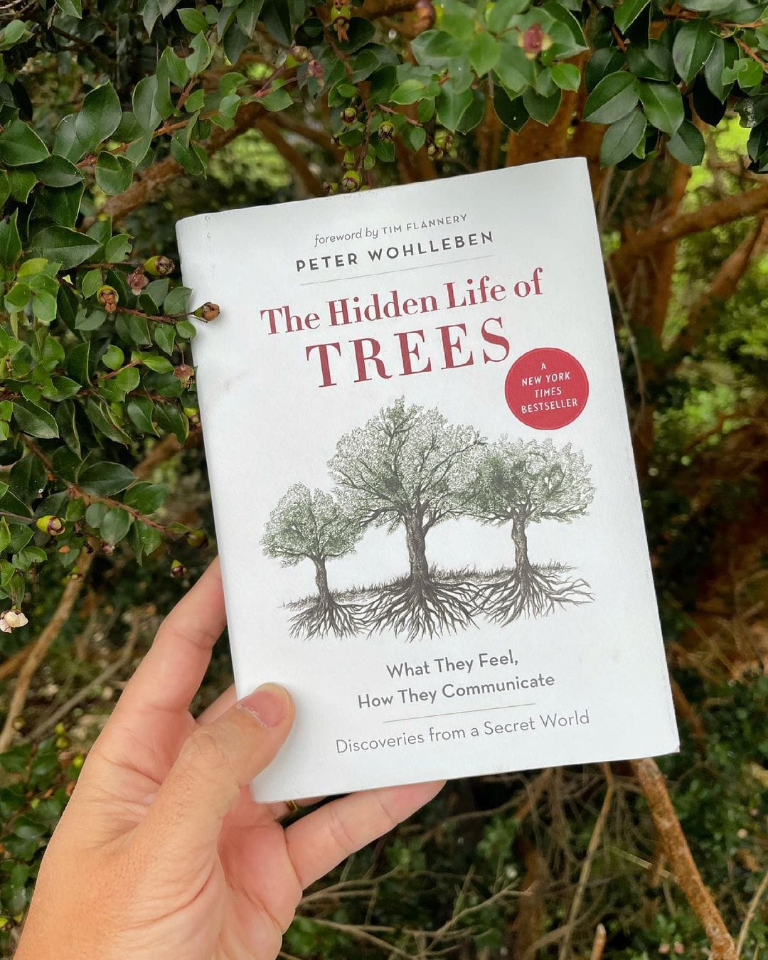 The Hidden Life of Trees (2015)