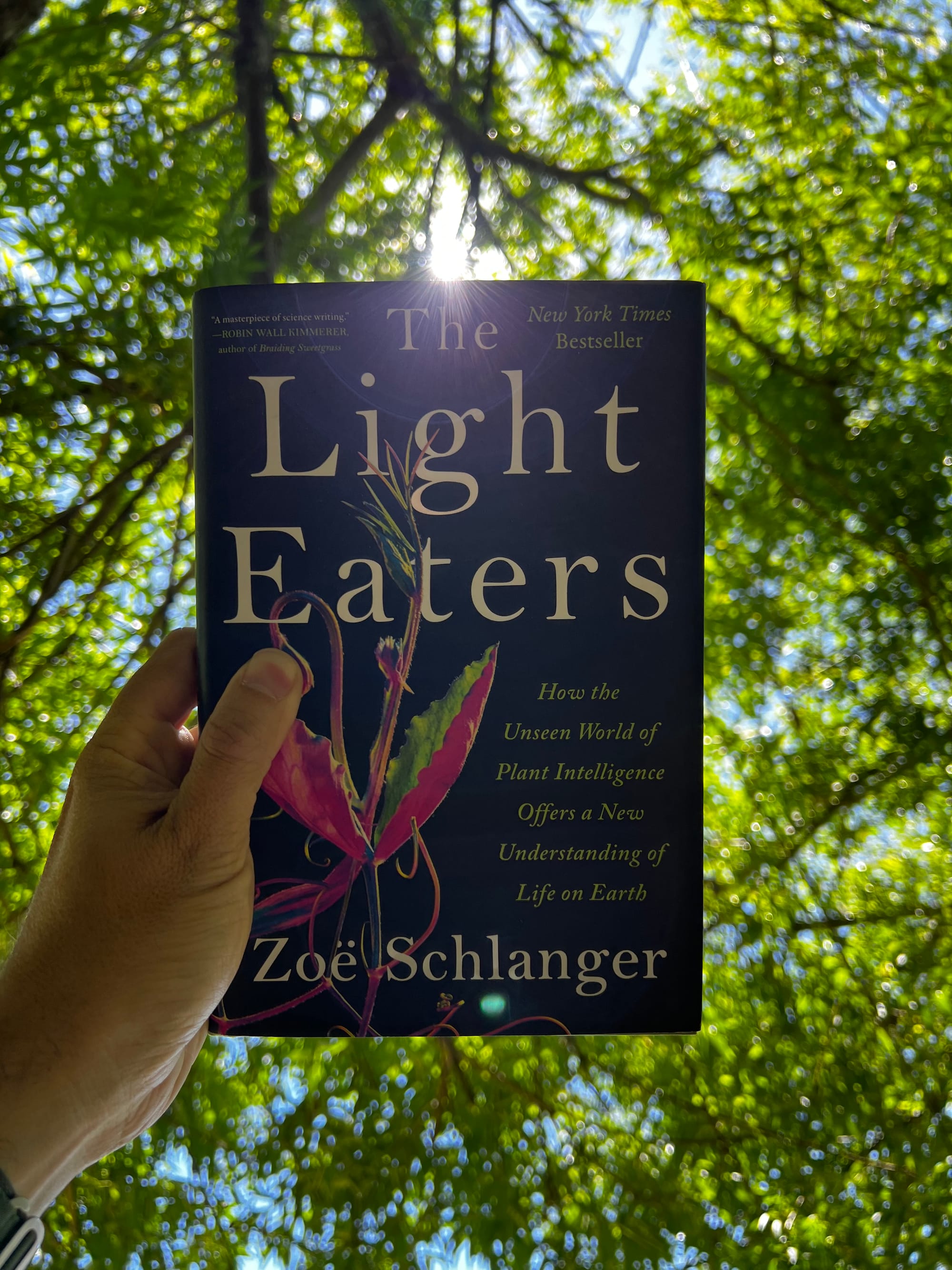 The Light Eaters (2024)