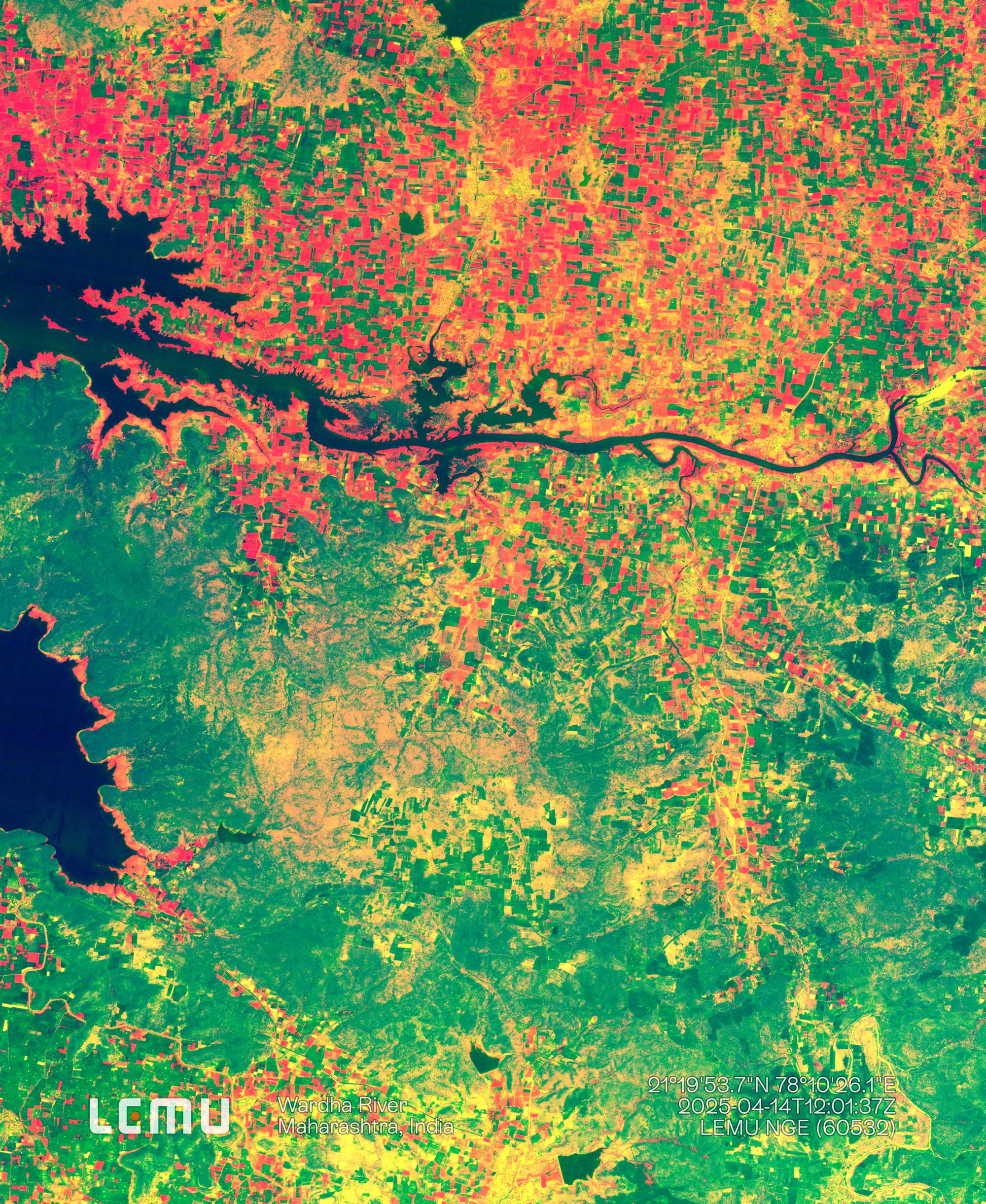 Artificial Everything