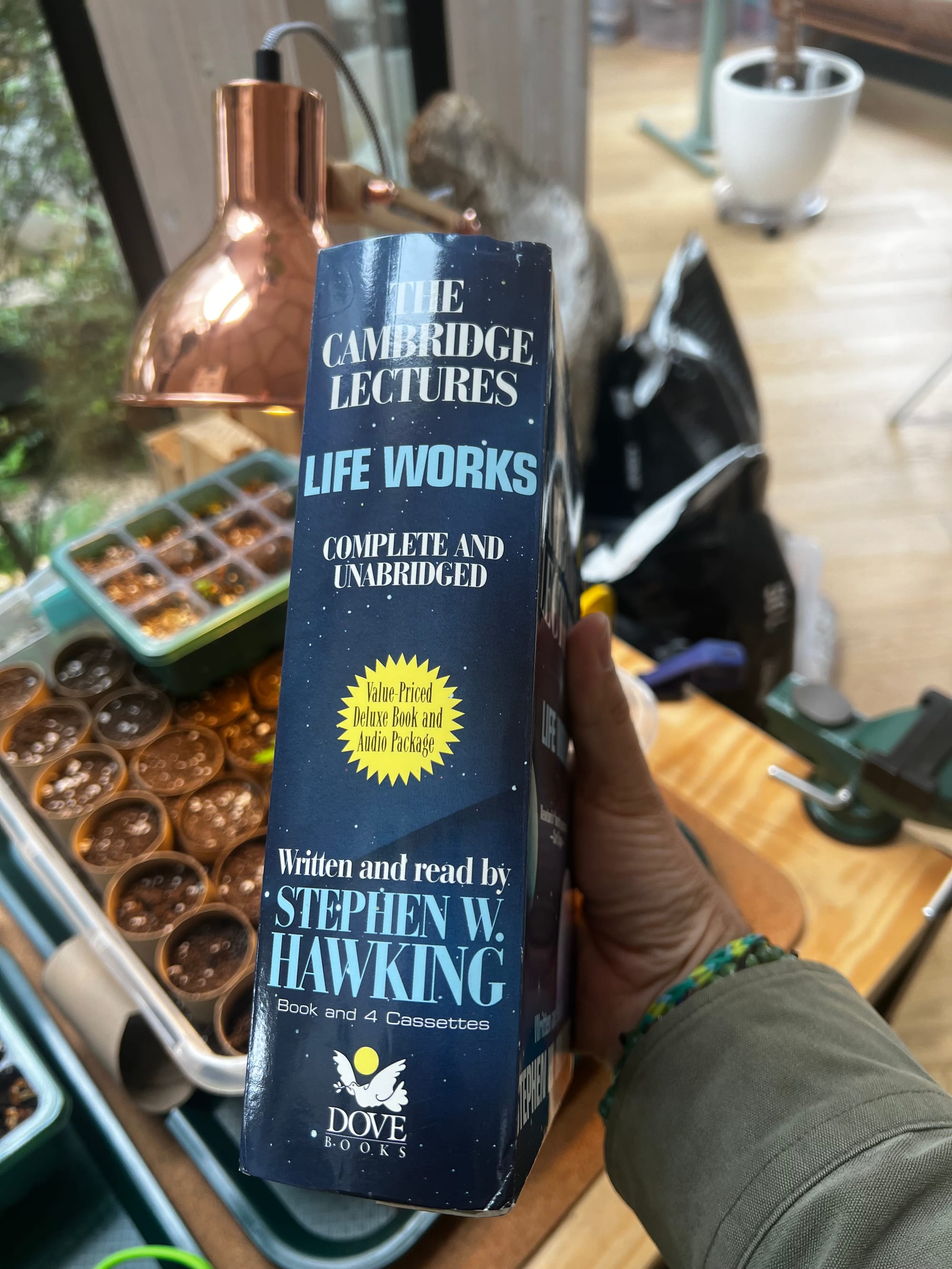 The Theory of Everything (2002)