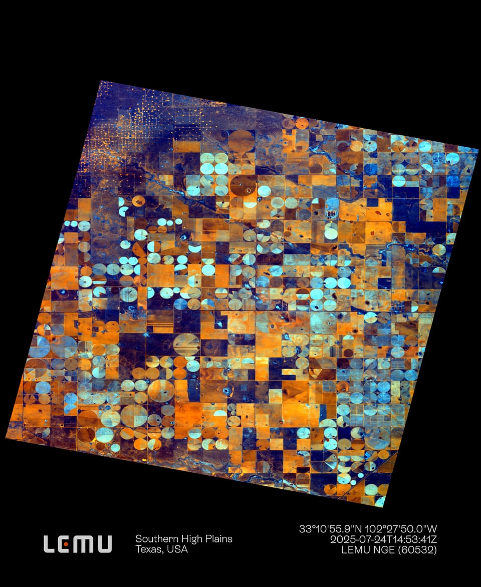 Ineficiencia Artificial